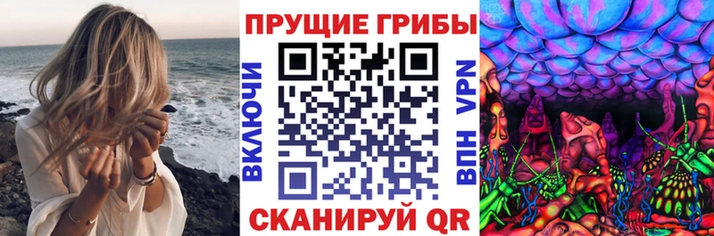 Галлюциногенные грибы Magic Shrooms Курильск